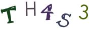 圖片的 CAPTCHA