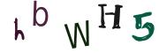 圖片的 CAPTCHA