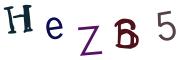 圖片的 CAPTCHA