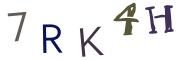 圖片的 CAPTCHA