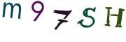 圖片的 CAPTCHA