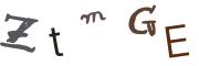 圖片的 CAPTCHA