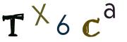 圖片的 CAPTCHA