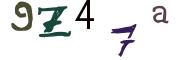 圖片的 CAPTCHA
