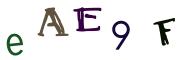 圖片的 CAPTCHA