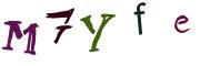 圖片的 CAPTCHA