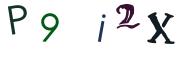 圖片的 CAPTCHA