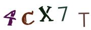 圖片的 CAPTCHA