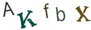 圖片的 CAPTCHA