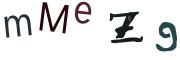 圖片的 CAPTCHA