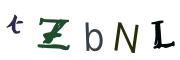 圖片的 CAPTCHA