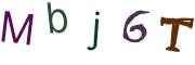 圖片的 CAPTCHA
