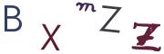 圖片的 CAPTCHA