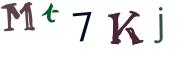圖片的 CAPTCHA