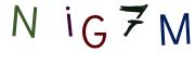 圖片的 CAPTCHA