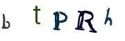 圖片的 CAPTCHA