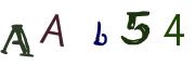 圖片的 CAPTCHA