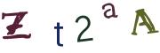 圖片的 CAPTCHA