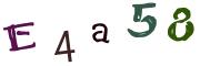 圖片的 CAPTCHA