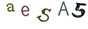 圖片的 CAPTCHA