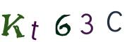圖片的 CAPTCHA