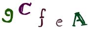 圖片的 CAPTCHA