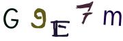 圖片的 CAPTCHA