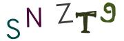 圖片的 CAPTCHA