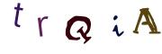 圖片的 CAPTCHA