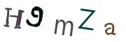 圖片的 CAPTCHA