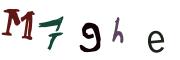 圖片的 CAPTCHA