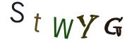 圖片的 CAPTCHA