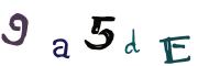圖片的 CAPTCHA