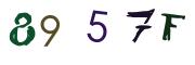 圖片的 CAPTCHA