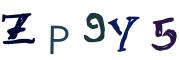 圖片的 CAPTCHA