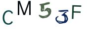 圖片的 CAPTCHA