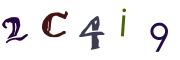 圖片的 CAPTCHA
