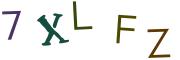 圖片的 CAPTCHA