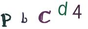圖片的 CAPTCHA