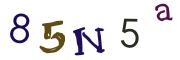 圖片的 CAPTCHA