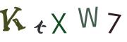 圖片的 CAPTCHA
