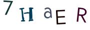 圖片的 CAPTCHA