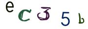 圖片的 CAPTCHA