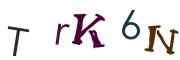 圖片的 CAPTCHA