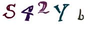 圖片的 CAPTCHA