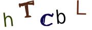 圖片的 CAPTCHA