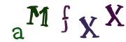 圖片的 CAPTCHA