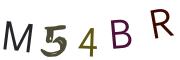 圖片的 CAPTCHA