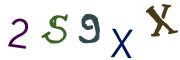 圖片的 CAPTCHA