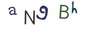 圖片的 CAPTCHA